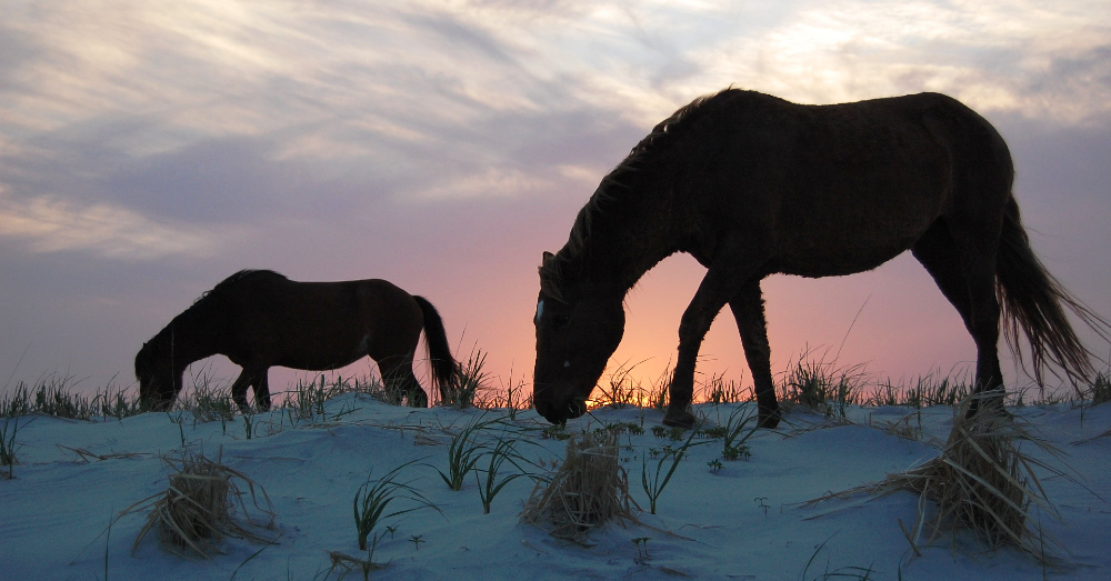 So Many Cool Things to Do When You Vacation in Maryland