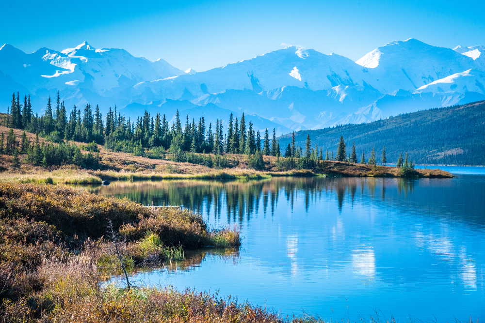 Tour Alaska for Your Next Vacation Destination
