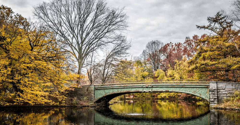 Prospect Park, Brooklyn, NY