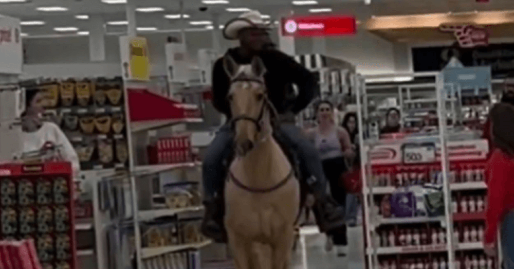 Target horse incident